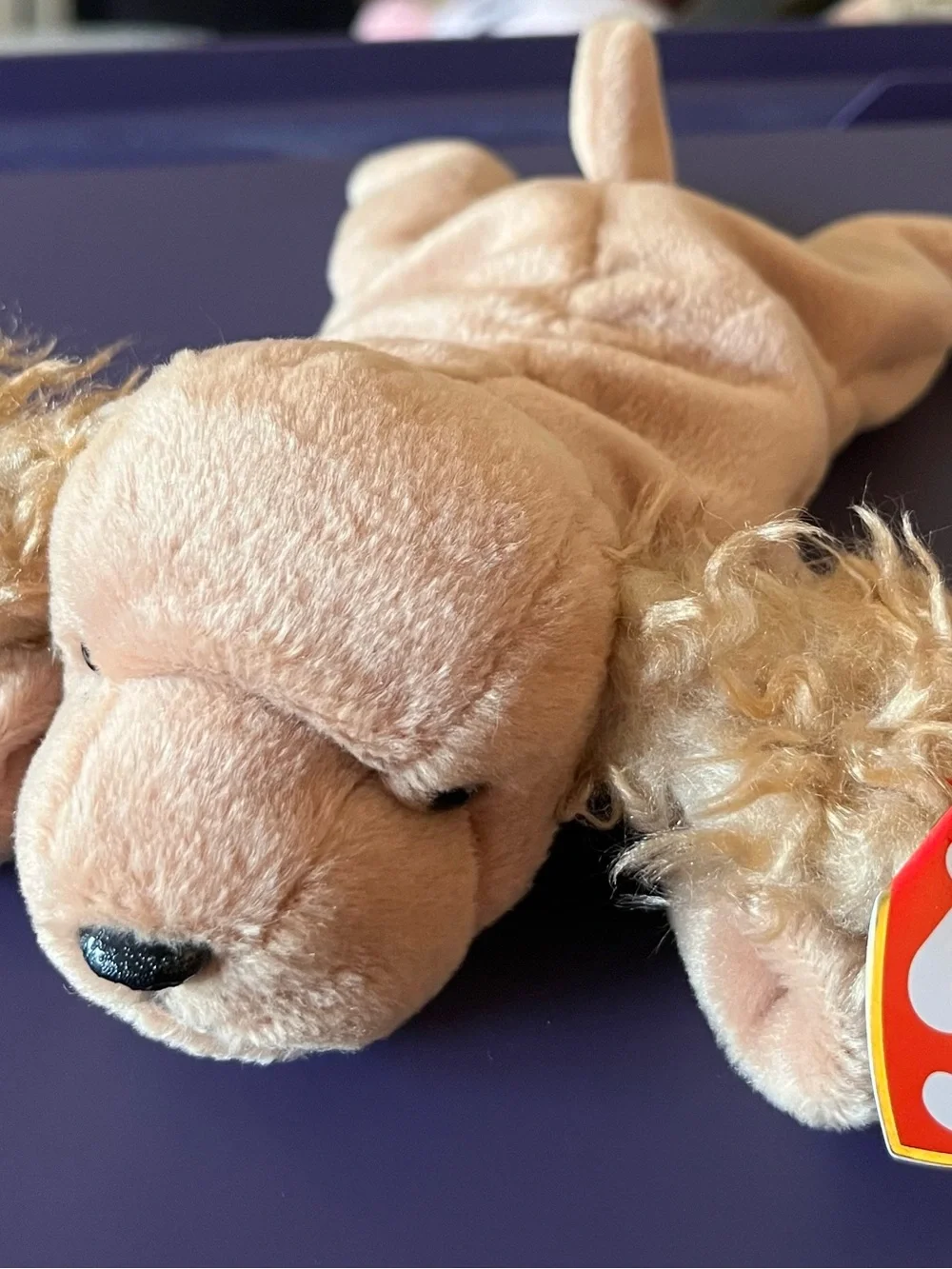 Spunky the Cocker Spaniel Beanie Baby